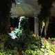 Image for article titled The Experimental Jungle Room Where NYC's Underground Park Is Taking Root